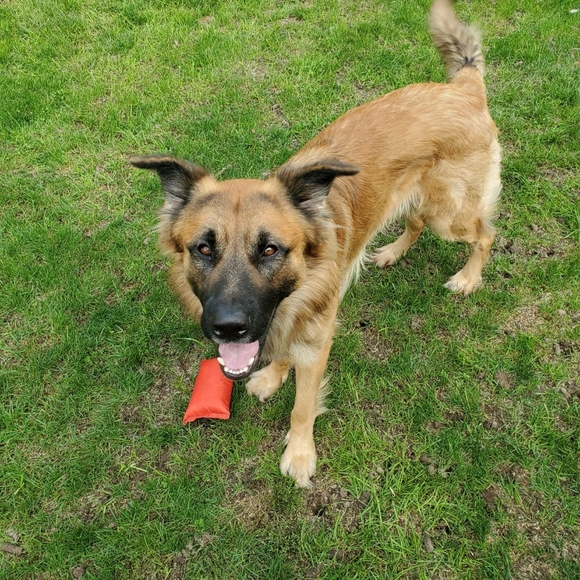 Meet your Posher, Norma - Picture 2 of 5